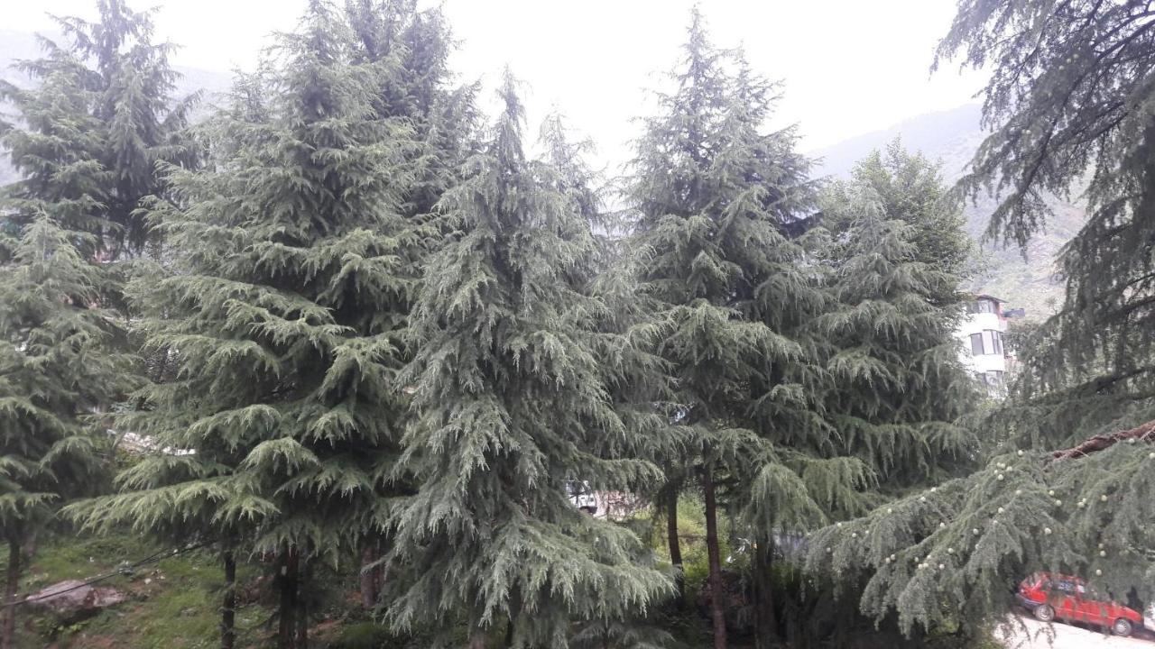 Sky Heaven Resort McLeod Ganj Exterior photo